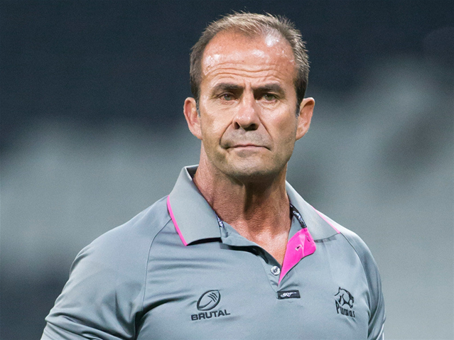 Pumas wary of wounded Cheetahs | News Article