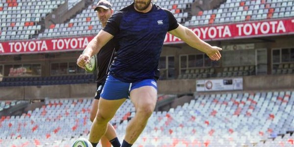 Steyn and Ntsila on debut for the Cheetahs | News Article