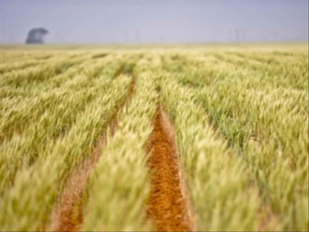 Close to 400 applications received for state land in NC | News Article