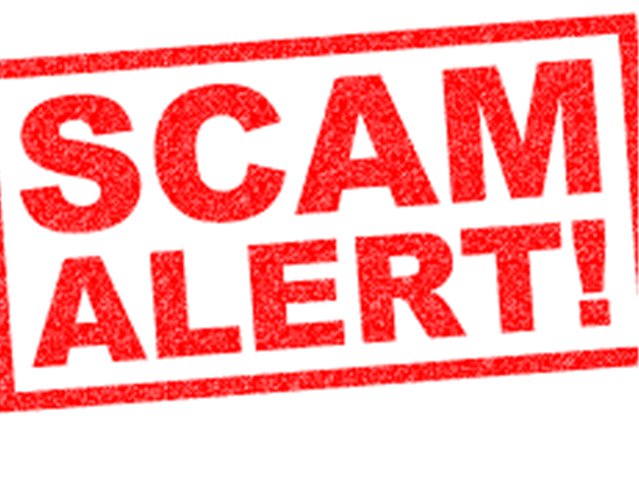 Bridal boutique scam hits Bfn | News Article