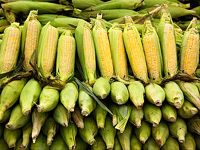 Agri-Uur: Jongste Safex-nuus | News Article