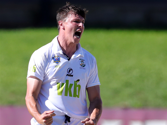 Knights thump the Dolphins in Bloemfontein | News Article