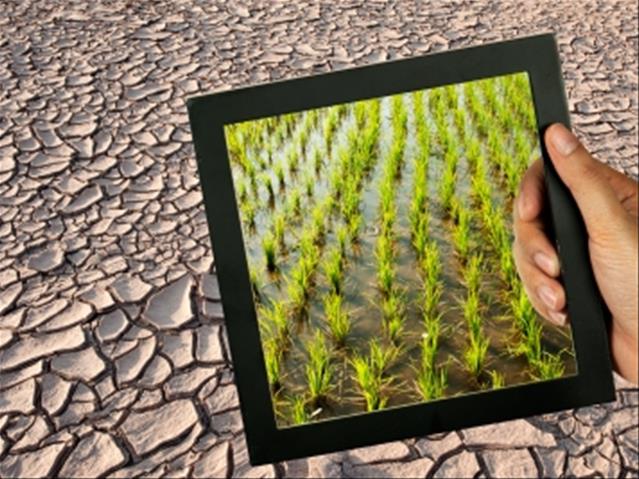 Sentraal Karoo-boere benodig #Droogtehulp | News Article