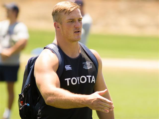 De Bruin may still be available for Cheetahs' swansong | News Article