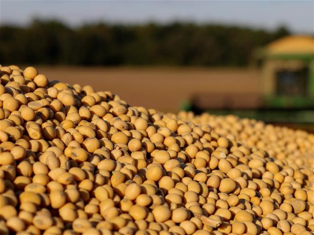 Agri-Uur: Jongste Safex-nuus | News Article