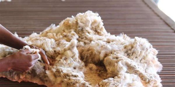 #Covid19, sterker Rand beïnvloed SA wolmark negatief #Covid19, sterker Rand beïnvloed SA wolmark negatief | News Article