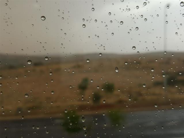 Agri News Podcast: More rain expected this week | News Article