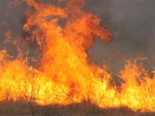 Landbounuus-podcast: R4,5 miljoen ingesamel vir Wes-Vrystaatse boere | News Article
