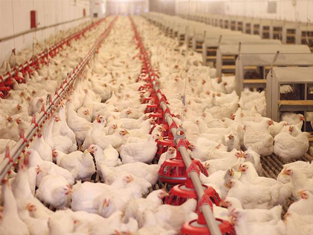 #Agbiz: SA agriculture exports record 5% y/y increase in Q3 | News Article