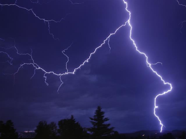 FS metro attends to storm damage | News Article