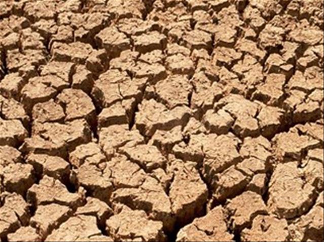 NK-boere ontvang droogtehulp | News Article