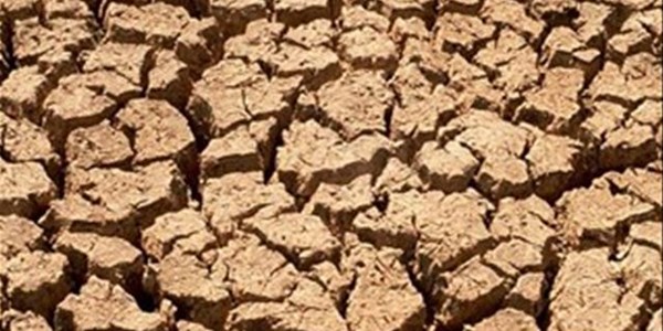 NK-boere ontvang droogtehulp | News Article