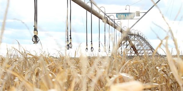 #Agbiz: How should localisation strategy be drafted for SA? | News Article