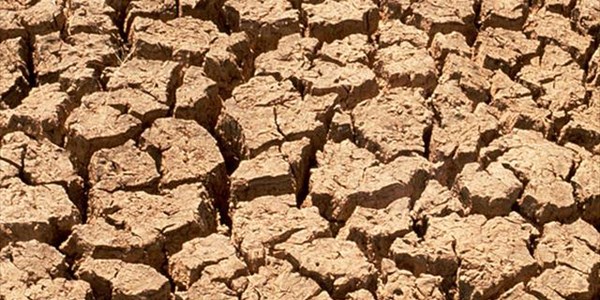 Agri podcast: R300m drought relief for Northern Cape | News Article
