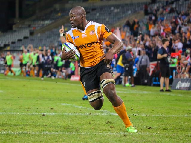 The Cheetahs expected to make changes | News Article