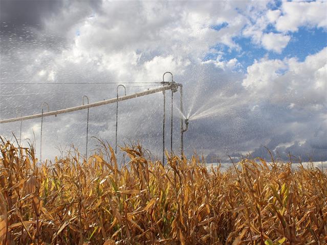 Agri-Uur: Jongste Safex-nuus | News Article