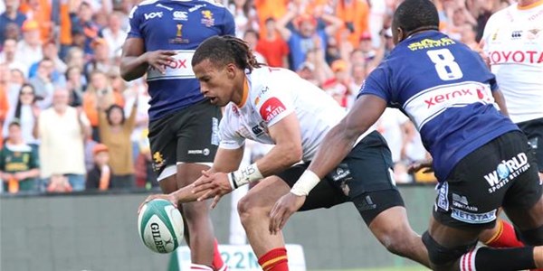 Cheetahs and Lions will share points | News Article
