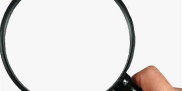 #Salga: FS in spotlight #Salga: FS in spotlight | News Article