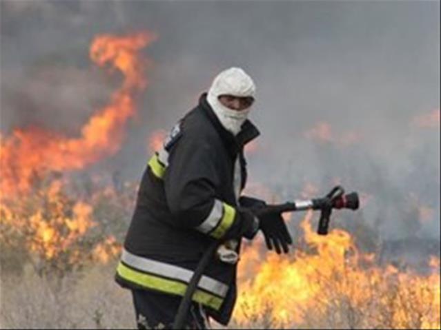 #VeldFires: Calls mount for joint forces | News Article