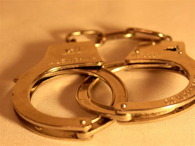 NW #Hawks on the prowl | News Article