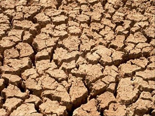 Optimistiese NK-boere wag steeds op droogtehulpfondse | News Article