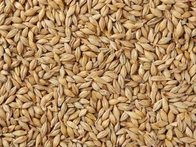 Agri-Uur: Jongste Safex-nuus | News Article
