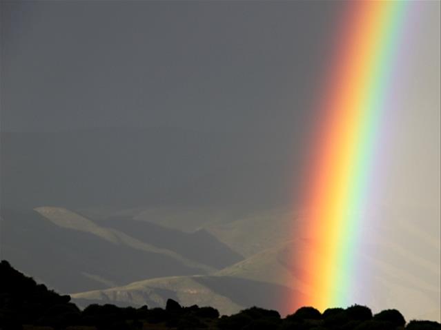 #Agbiz: SA’s agriculture performance rests on weather prospects | News Article