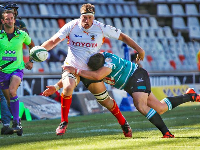 Hugo and Swanepoel on Cheetahs bench | News Article