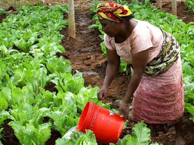 Farmer’s vision is to see more women become farmers  | News Article