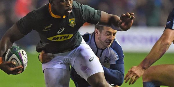 Scotland to host Boks in 2021 Scotland to host Boks in 2021 | News Article