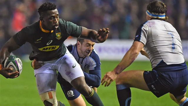 Springboks draw Ireland and Scotland for RWC 2023 | News Article