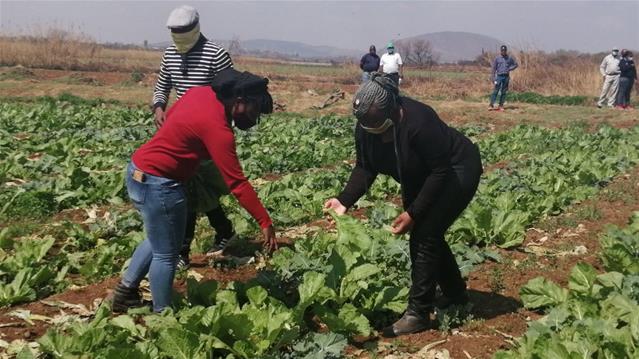 Food security remains top priority in NW | News Article