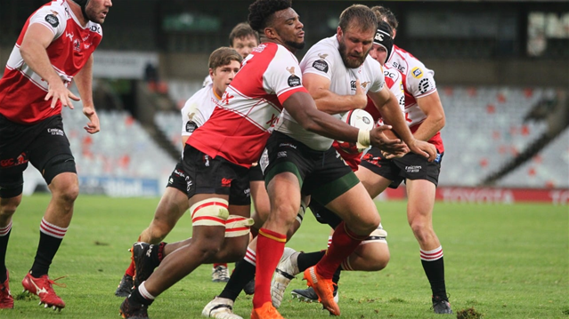 Discipline remains the Cheetahs Achilles heel  | News Article