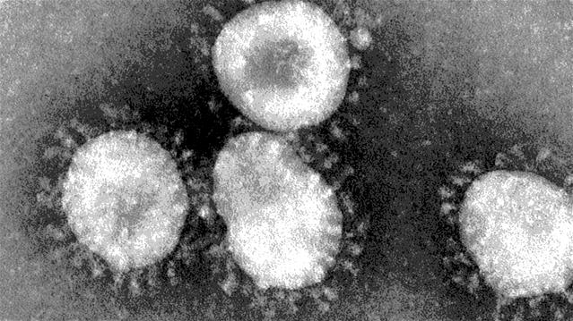 Solidarity Fund sets aside millions for #Covid19 vaccine | News Article