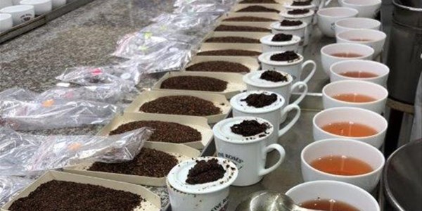 Honeybush Tea - quality grading system developed Honeybush Tea - quality grading system developed | News Article
