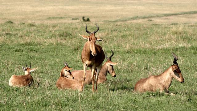 Human remains found at Kruger National Park | News Article