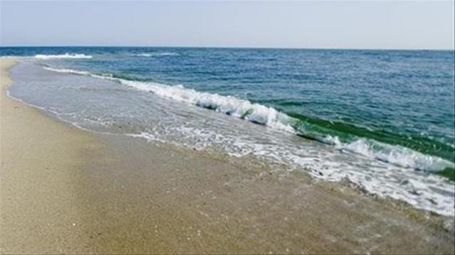 #Covid19: Court rules beaches remain closed | News Article