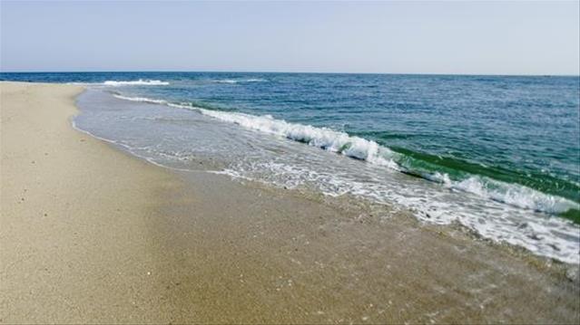 Court to rule in second challenge over beaches | News Article