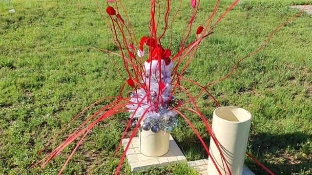 The Christmas spirit  | News Article