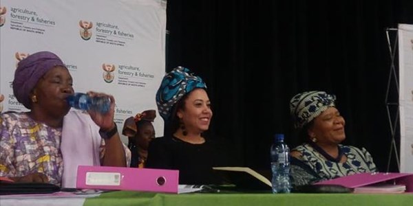 'SA must invest in the youth' - Dlamini-Zuma 'SA must invest in the youth' - Dlamini-Zuma | News Article