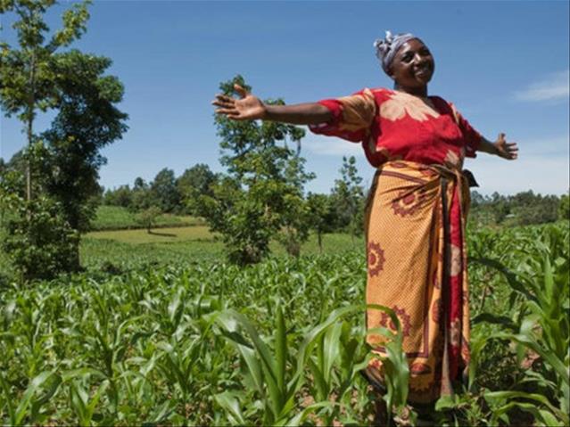 Presidential stimulus initiative opens Thursday | News Article