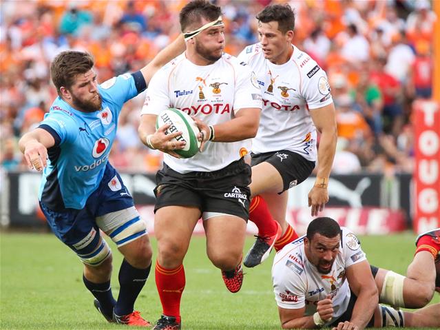 Beertjie can earn a long-term contract | News Article