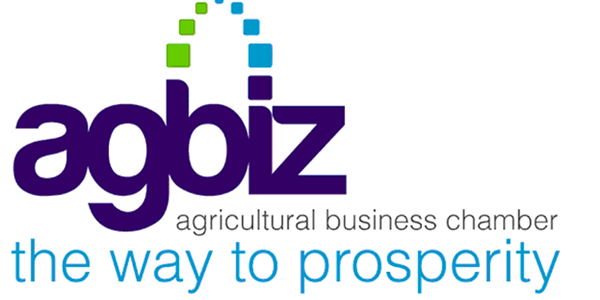  Great optimism about SA’s maize crop | News Article