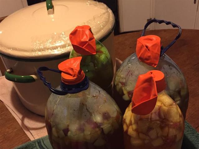 ‘How to make pineapple beer’ amongst SA’s top searches | News Article