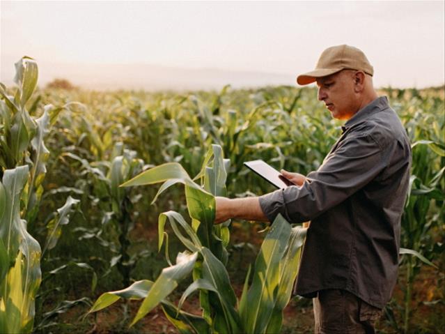 Celebrating our Agricultural Sector [Part 1] | News Article