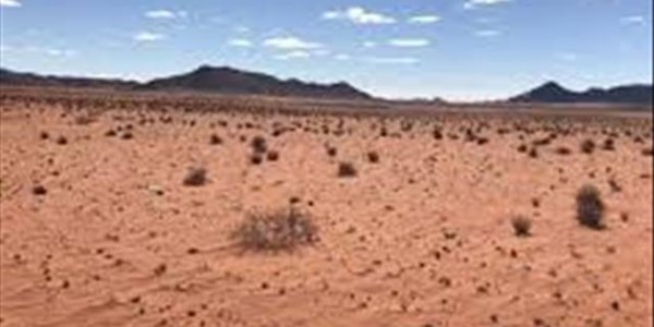 Force premiers to act on drought, Steenhuisen tells Ramaphosa Force premiers to act on drought, Steenhuisen tells Ramaphosa | News Article