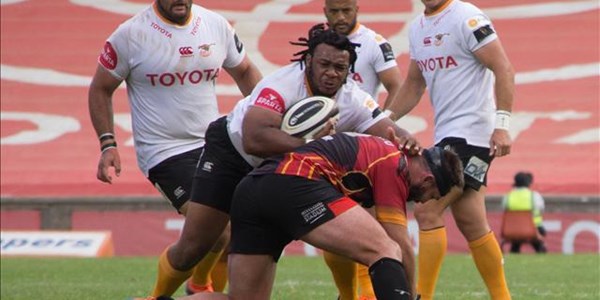 Cheetahs opt for continuity against Leinster Cheetahs opt for continuity against Leinster | News Article