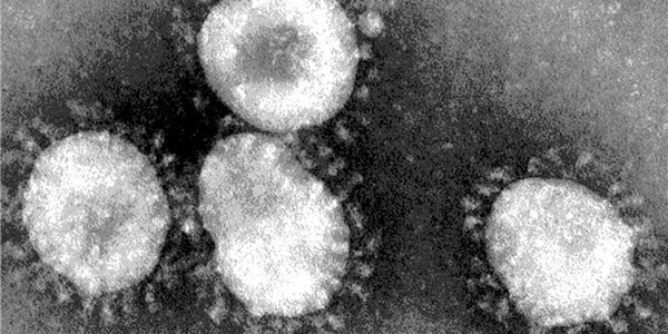 Panic and Anxiety: South Africans living in Wuhan describe coronavirus lockdown Panic and Anxiety: South Africans living in Wuhan describe coronavirus lockdown | News Article