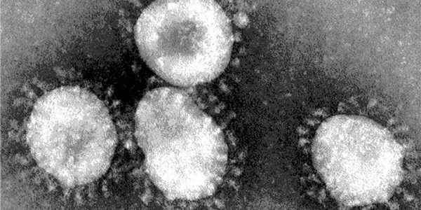 #Coronavirus confirmed at phone factory complex in S.Korea #Coronavirus confirmed at phone factory complex in S.Korea | News Article