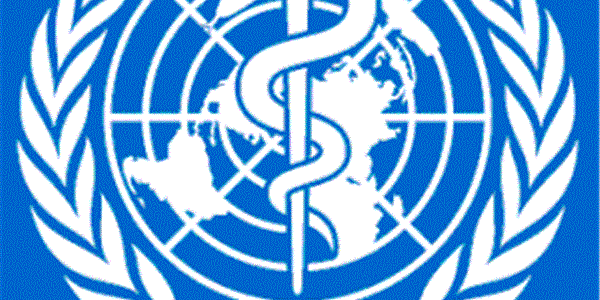 WHO supports African countries' coronavirus response strategy | News Article